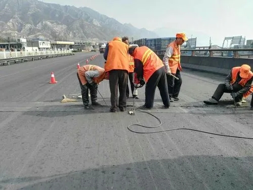 申扎道路桥梁病害治理